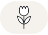 standard-No Artificial <br> Fragrance or <br> Colorants hanacure
