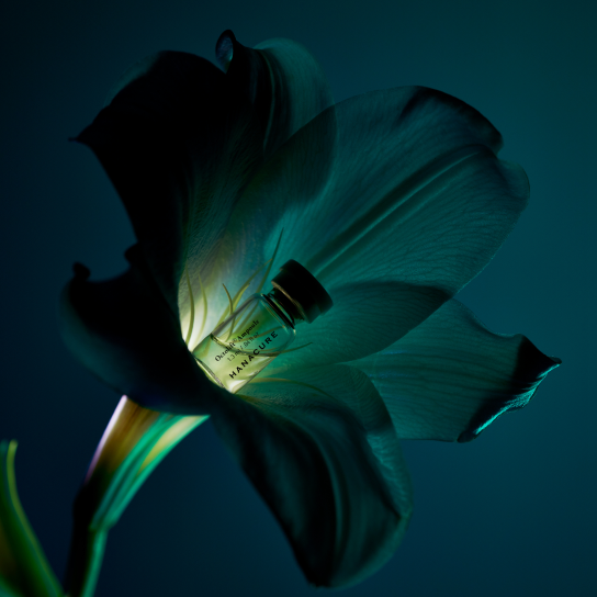 a flower with a Hanacure product nestled inside