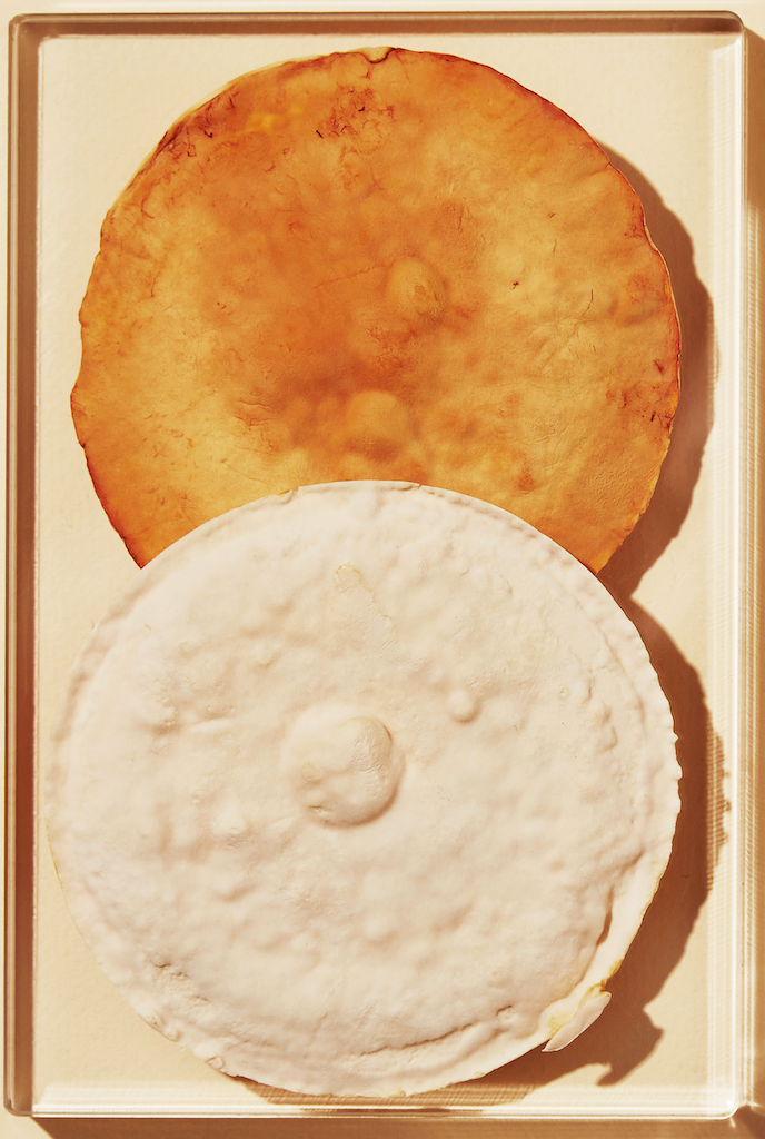 files/img-2.png ingredients image hanacure 2