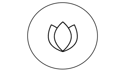 This is the ingredient-image Transformation hanacure 3